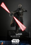 Marrok™ (Prototype Shown) View 7
