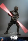 Marrok™ (Prototype Shown) View 10