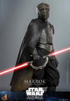 Marrok™ (Prototype Shown) View 11