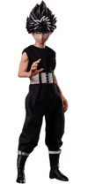 Hiei Collector Edition View 24