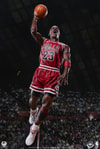 Michael Jordan (Prototype Shown) View 2