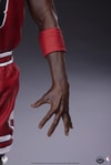 Michael Jordan (Prototype Shown) View 16