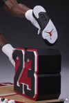 Michael Jordan (Prototype Shown) View 20
