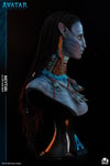 Neytiri (Elite) Collector Edition (Prototype Shown) View 11