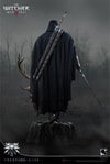 Geralt of Rivia (Prototype Shown) View 13