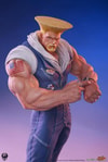 Guile Collector Edition (Prototype Shown) View 4