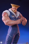 Guile Collector Edition (Prototype Shown) View 6