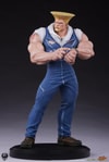 Guile Collector Edition (Prototype Shown) View 9