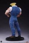 Guile Collector Edition (Prototype Shown) View 12
