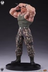 Guile Deluxe Edition (Prototype Shown) View 8