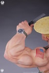Guile Deluxe Edition (Prototype Shown) View 18