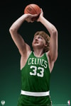 Larry Bird (Prototype Shown) View 12