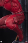 Daredevil (Prototype Shown) View 21