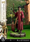 Harry Potter (Quidditch Edition) (Prototype Shown) View 7