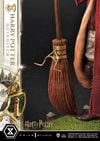 Harry Potter (Quidditch Edition) (Prototype Shown) View 13
