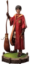 Harry Potter (Quidditch Edition) (Prototype Shown) View 15