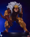 Sabretooth Collector Edition (Prototype Shown) View 1