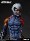 Cyborg Ninja (The Final Battle Version) (Prototype Shown) View 23