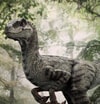 Velociraptor Female Collector Edition (Prototype Shown) View 1