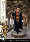 Harry Potter (Prototype Shown) View 6