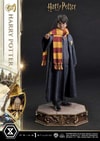 Harry Potter (Prototype Shown) View 9