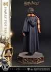 Harry Potter (Prototype Shown) View 12