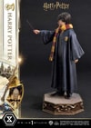 Harry Potter (Prototype Shown) View 13