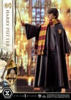 Harry Potter (Prototype Shown) View 14