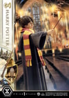 Harry Potter (Prototype Shown) View 18