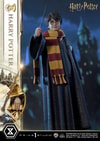 Harry Potter (Prototype Shown) View 19