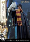 Harry Potter With Hedwig (Prototype Shown) View 13