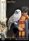 Harry Potter With Hedwig (Prototype Shown) View 19