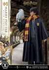 Harry Potter With Hedwig (Prototype Shown) View 20