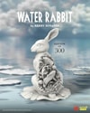 Water Rabbit (Prototype Shown) View 12