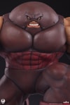 Juggernaut (Prototype Shown) View 16