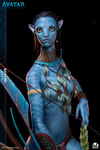 Neytiri View 4