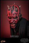 Darth Maul Collector Edition (Prototype Shown) View 8