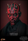 Face portrait of Darth Maul (Sith Speeder) showcasing his serious expression and red and black facial markings. Collector Edition (Prototype Shown) View 11