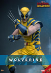 Wolverine Sixth Scale Action Figure by Hot Toys. The wolverine statue is prominently displayed, emphasizing its strength and artistic detail. Collector Edition (Prototype Shown) View 1