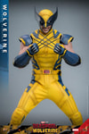 Wolverine Sixth Scale Action Figure by Hot Toys: full body, wide stance, iconic mask, and crossed claws. Collector Edition (Prototype Shown) View 3