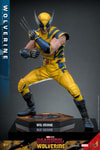 Wolverine Sixth Scale Action Figure by Hot Toys: In wide spread stance with one knee slightly bent and arms crossed with claws out. Collector Edition (Prototype Shown) View 6