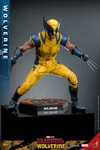 Wolverine Sixth Scale Action Figure by Hot Toys: In crouch action pose with arms and legs wide spread open and claws out at a slight angle. Collector Edition (Prototype Shown) View 7