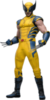 Marvel's Wolverine Sixth Scale Action Figure by Hot Toys: highlighting intricate features and dynamic pose for collectors. Collector Edition (Prototype Shown) View 14
