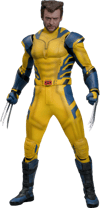 Wolverine Sixth Scale Action Figure by Hot Toys: full body shot in full suit, no mask, arms and legs slightly spread, claws out. (Prototype Shown) View 14