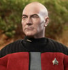 Captain Jean-Luc Picard (Prototype Shown) View 5