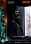 Caine (Deluxe Version) (Prototype Shown) View 6