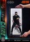 Caine (Deluxe Version) (Prototype Shown) View 10
