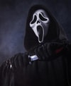 Ghost Face (Prototype Shown) View 3