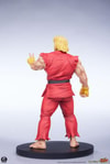 Ken & Vega (Prototype Shown) View 13