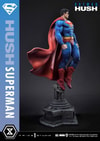Superman (Prototype Shown) View 15